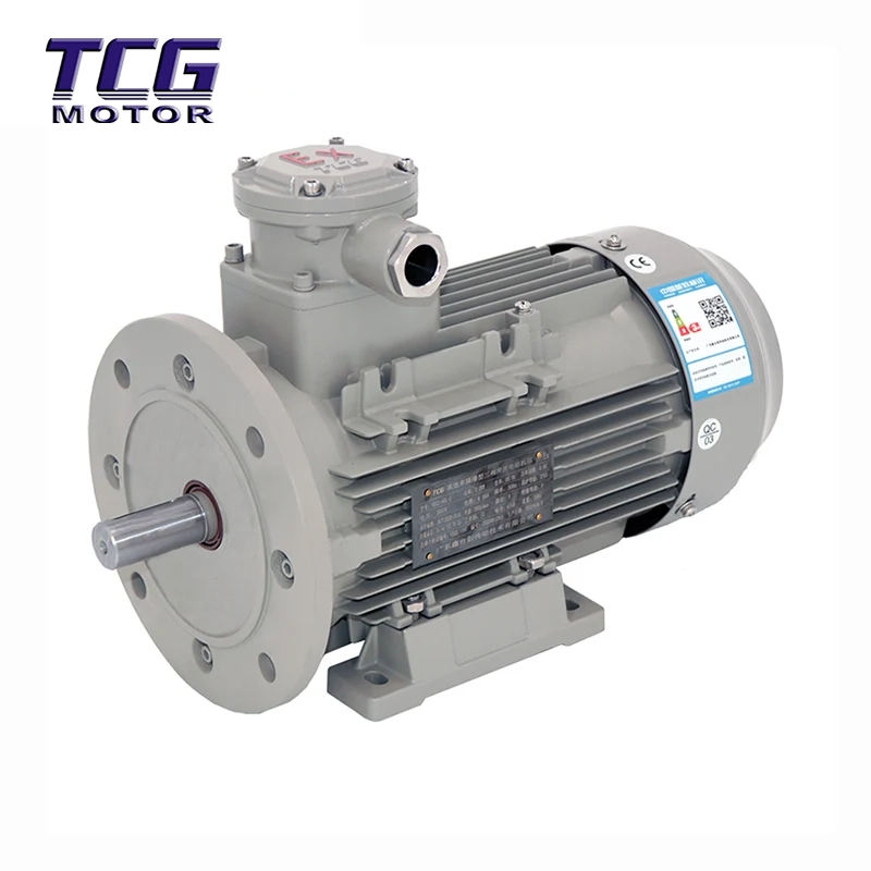 Ex d IIC T4 มอเตอร์กันระเบิด B35 Foot